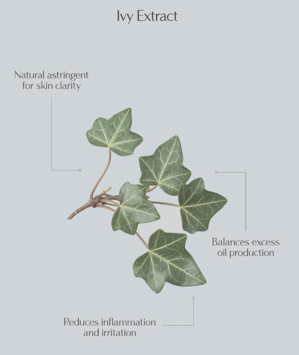 SKIN NEED - 01A DEEP CLEANSER image2